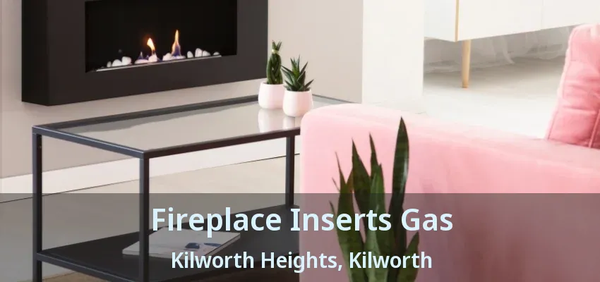 Fireplace Inserts Gas Kilworth Heights, Kilworth - ON Fireplace Inserts Gas Kilworth Heights, Kilworth - ON