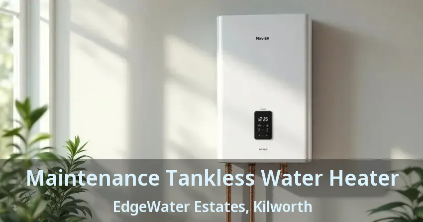 Maintenance Tankless Water Heater EdgeWater Estates, Kilworth - ON
