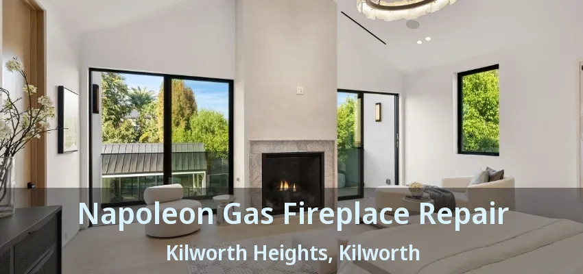 Napoleon Gas Fireplace Repair Kilworth Heights, Kilworth - ON