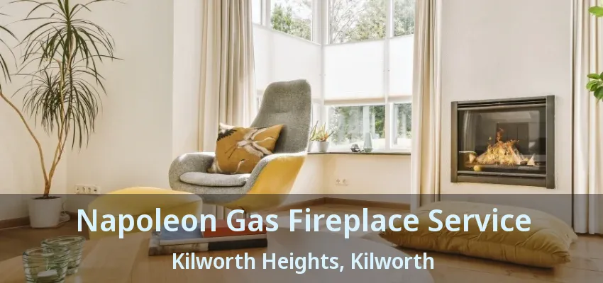 Napoleon Gas Fireplace Service Kilworth Heights, Kilworth - ON Napoleon Gas Fireplace Service Kilworth Heights, Kilworth - ON