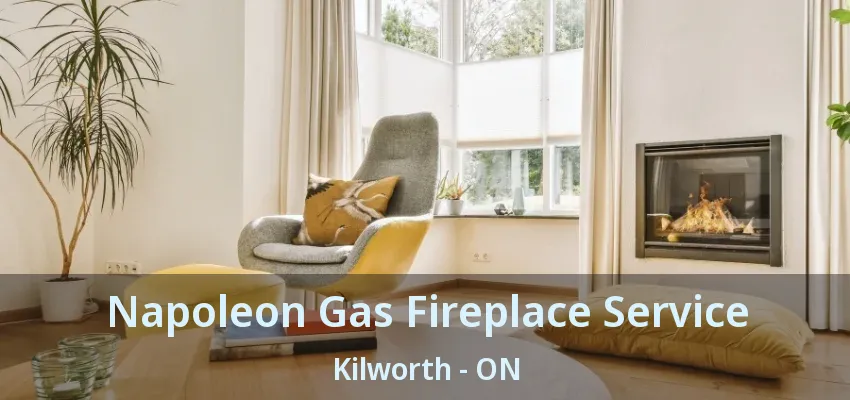 Napoleon Gas Fireplace Service Kilworth - ON