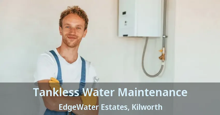 Tankless Water Maintenance EdgeWater Estates, Kilworth - ON Tankless Water Maintenance EdgeWater Estates, Kilworth - ON